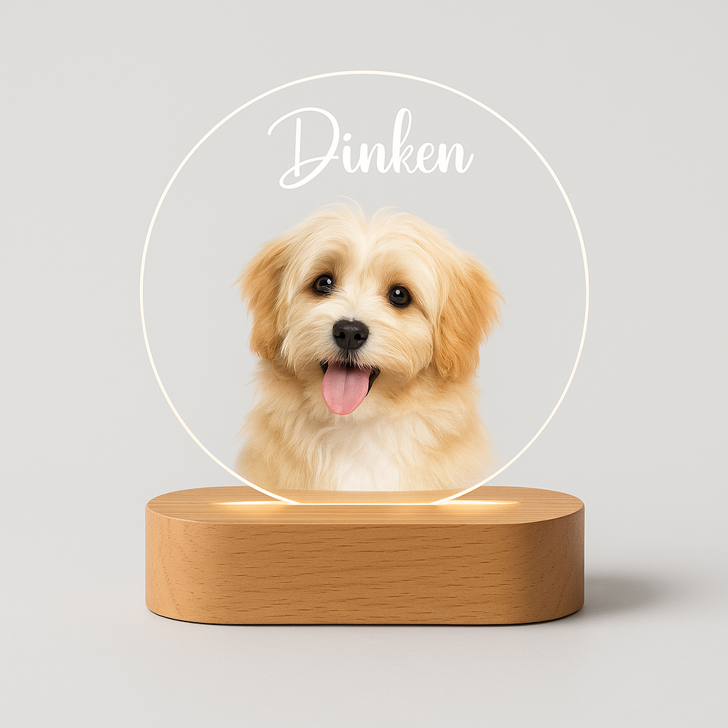 Custom Pet LED Lamp with Name Engraving – Personalized Acrylic Night Light for Dog & Cat Lovers