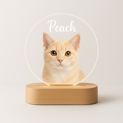 Custom Pet LED Lamp with Name Engraving – Personalized Acrylic Night Light for Dog & Cat Lovers