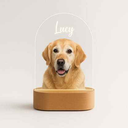 Custom Pet LED Lamp with Name Engraving – Personalized Acrylic Night Light for Dog & Cat Lovers