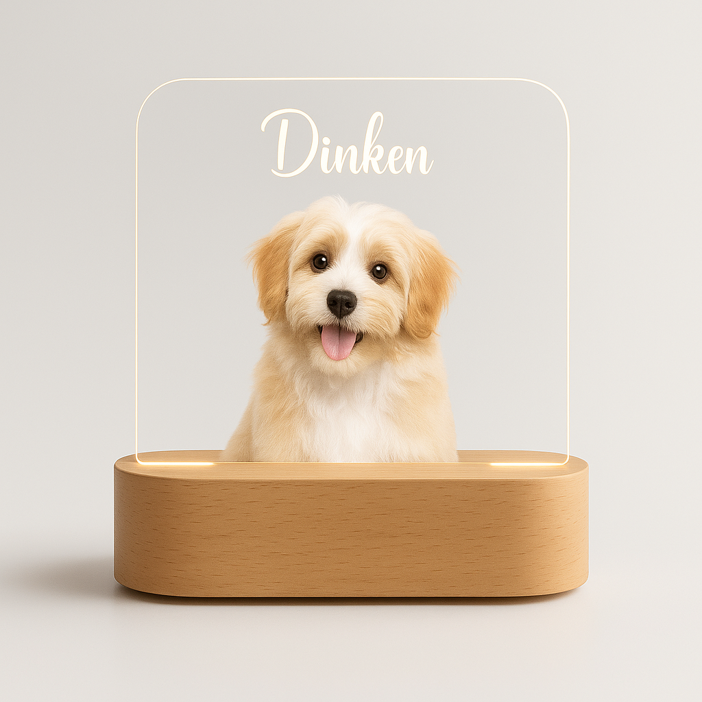 Custom Pet LED Lamp with Name Engraving – Personalized Acrylic Night Light for Dog & Cat Lovers
