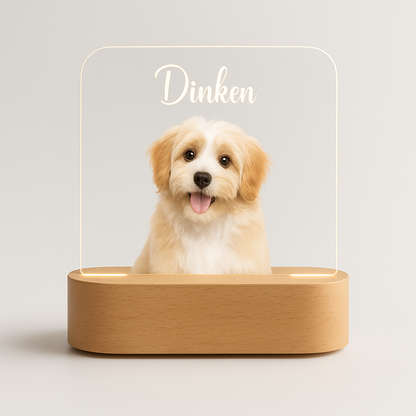 Custom Pet LED Lamp with Name Engraving – Personalized Acrylic Night Light for Dog & Cat Lovers