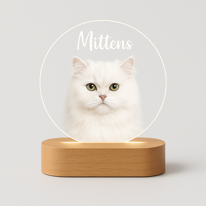 Custom Pet LED Lamp with Name Engraving – Personalized Acrylic Night Light for Dog & Cat Lovers