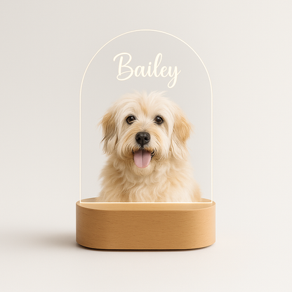 Custom Pet LED Lamp with Name Engraving – Personalized Acrylic Night Light for Dog & Cat Lovers